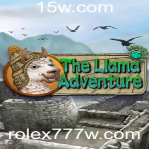 rolex777 Casino App